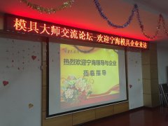  浙江宁海领导与企业家参加方天模具大师交流论坛 